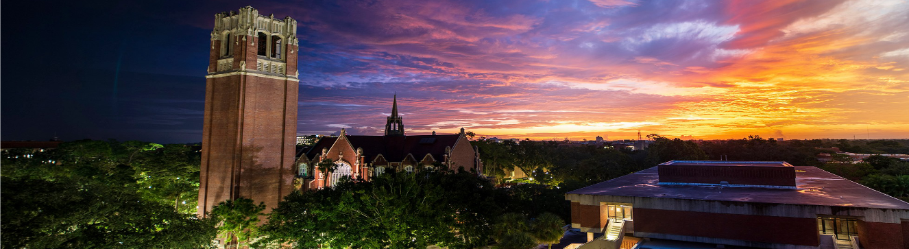 University of Florida